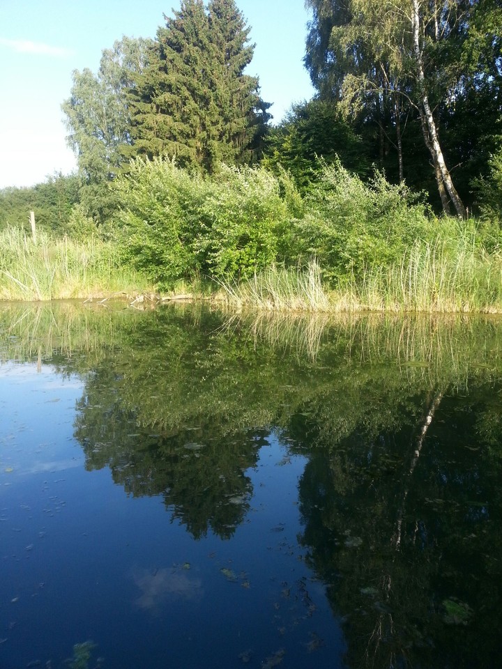 nature