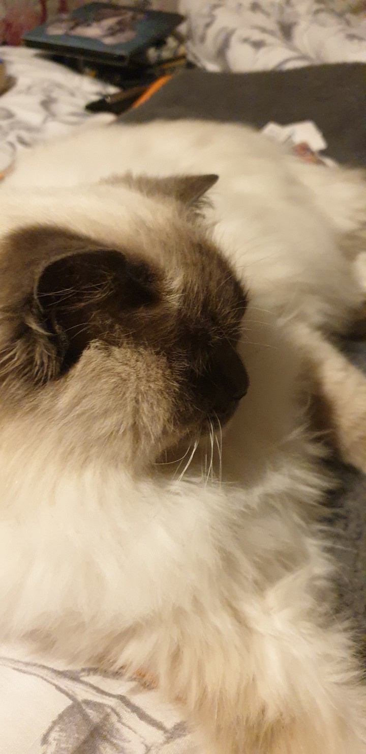 not wanting her photo taken!!