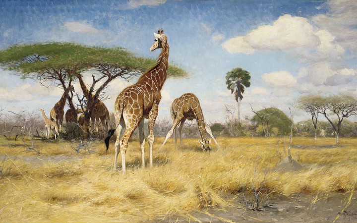 Savannah