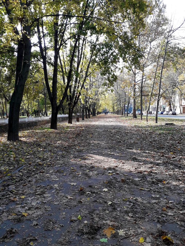 Autumn