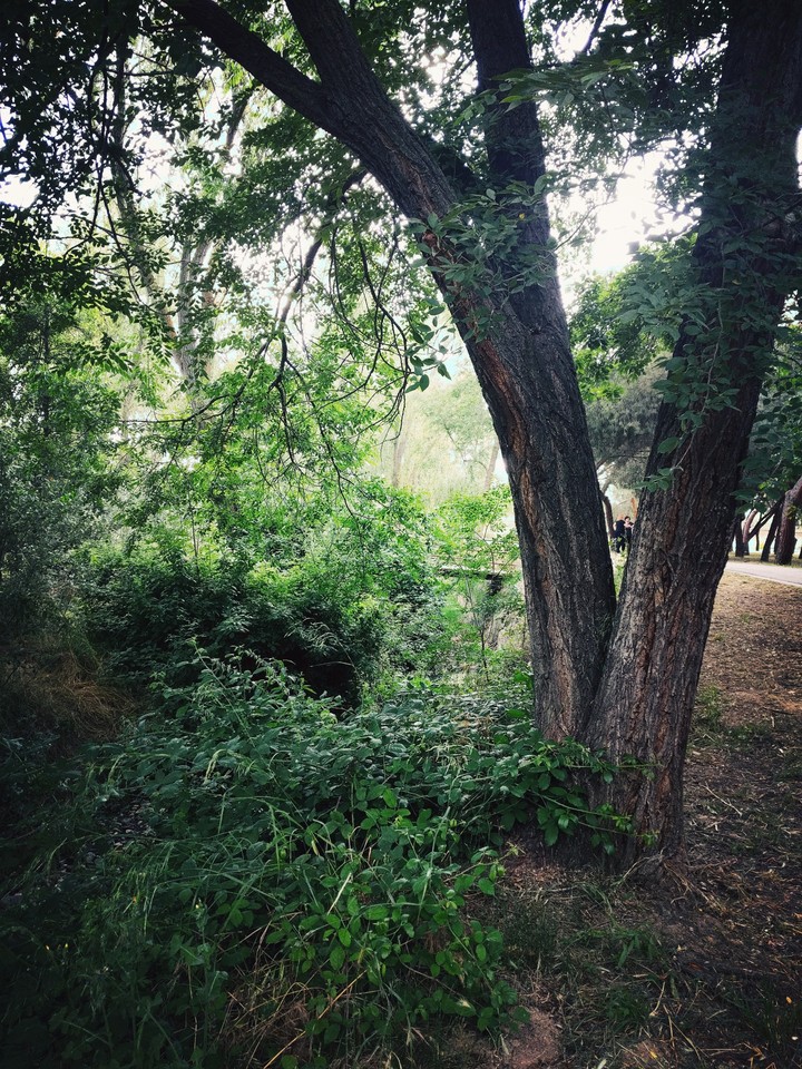 naturaleza