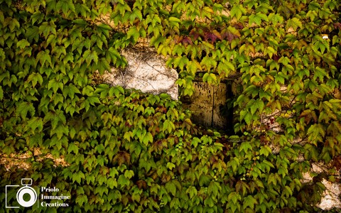 Windows hidden