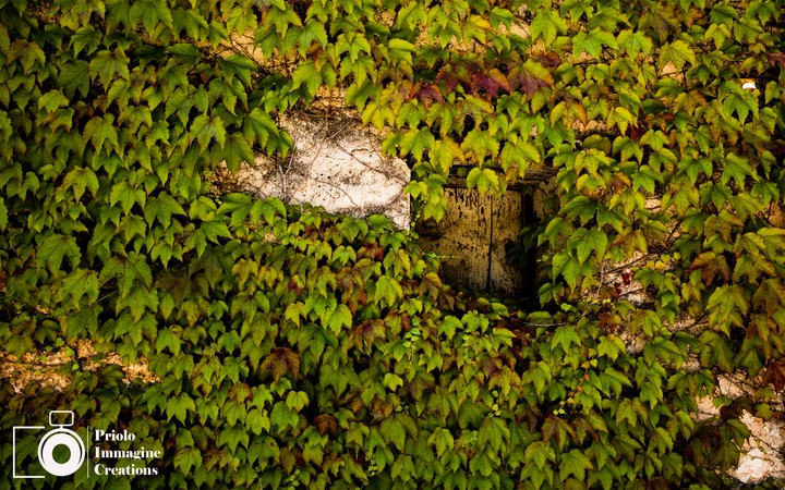 Windows hidden