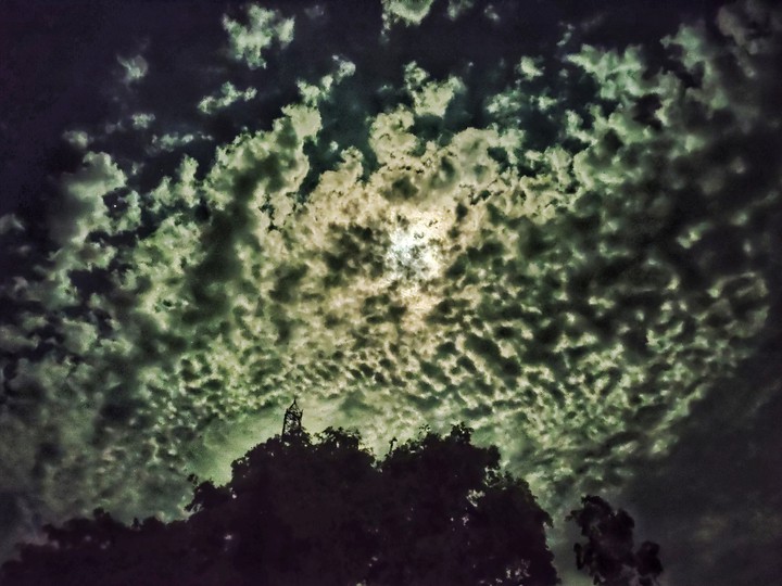 Moonlight