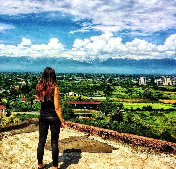 деревья