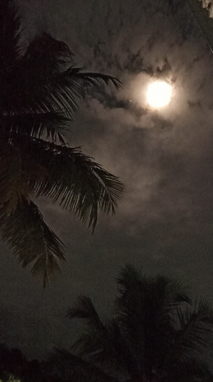 Brightness of the dark