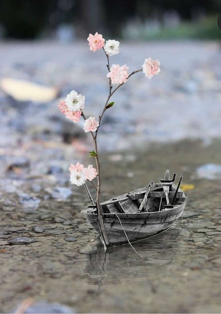 miniature beauty