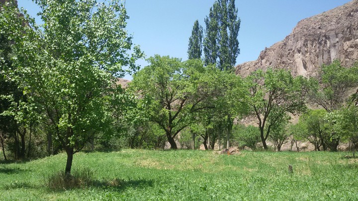 nature