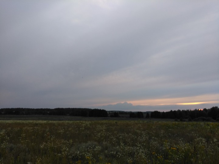 Summer open spaces