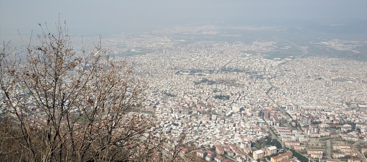 Bursa