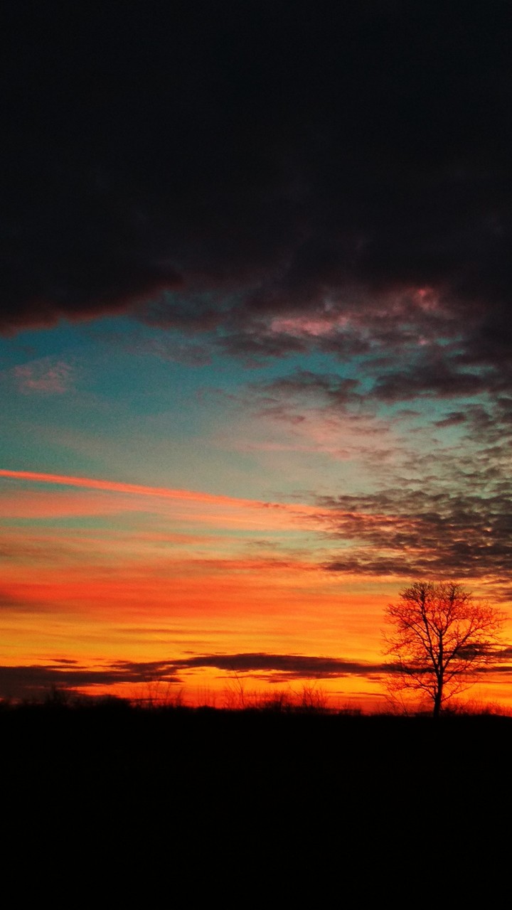 sunset