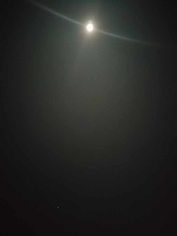 stargaze