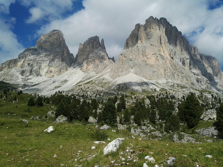 Alpi