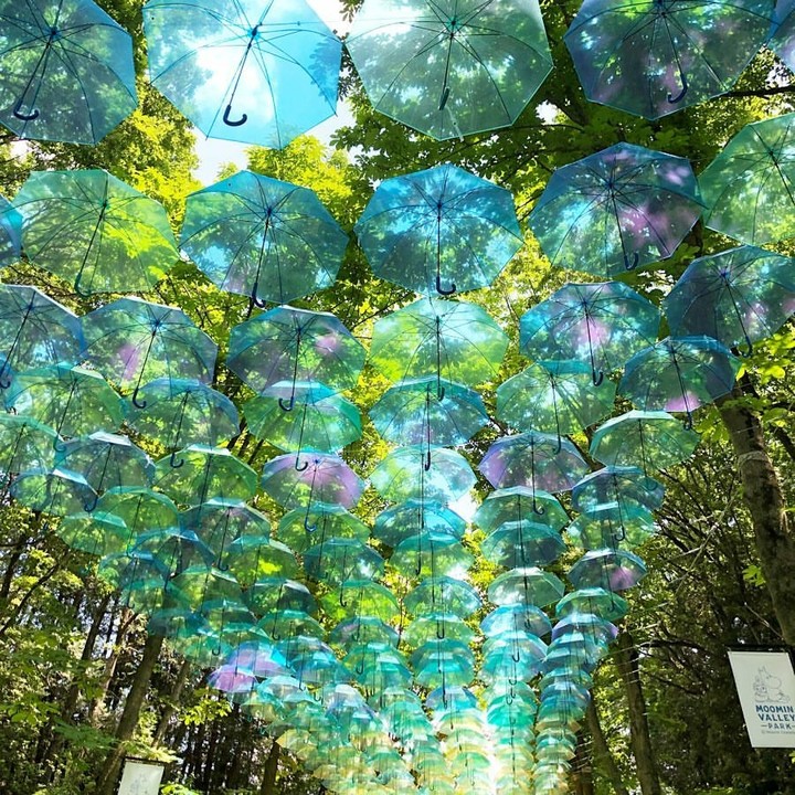 umbrella❤
