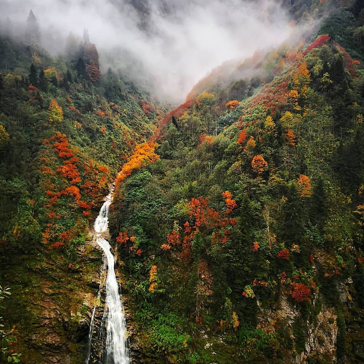 sonbahar ve Rize