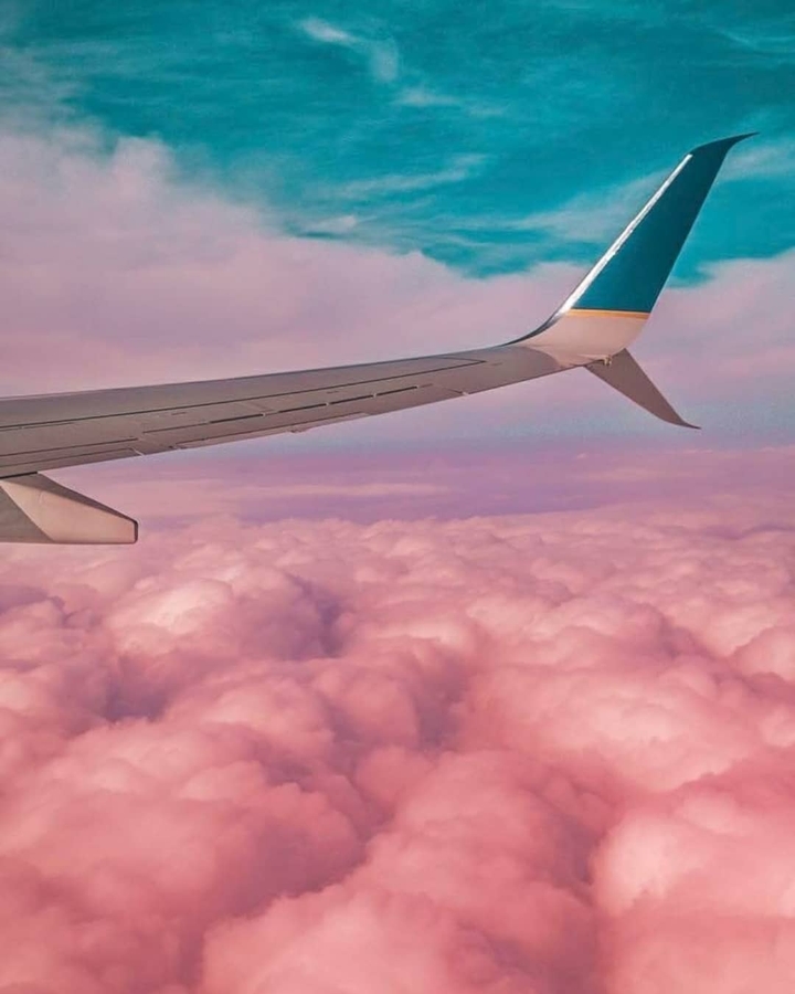fly