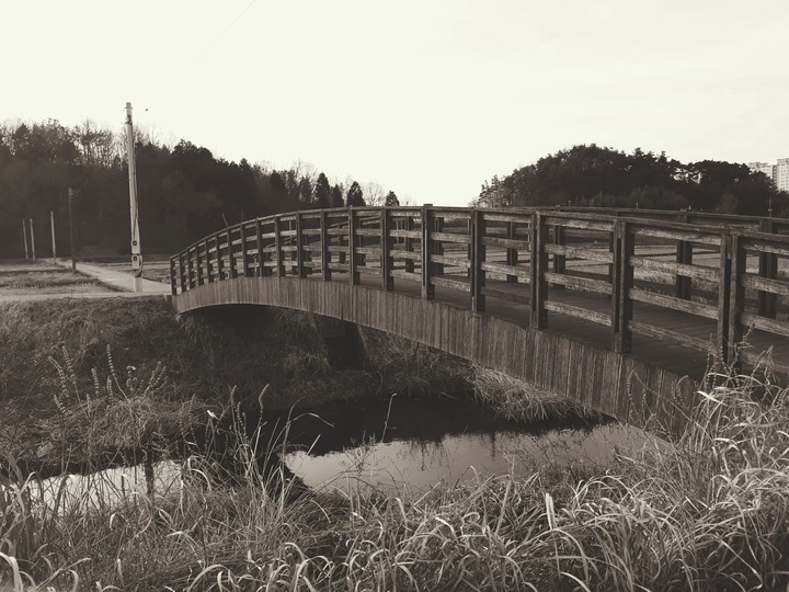 bridge