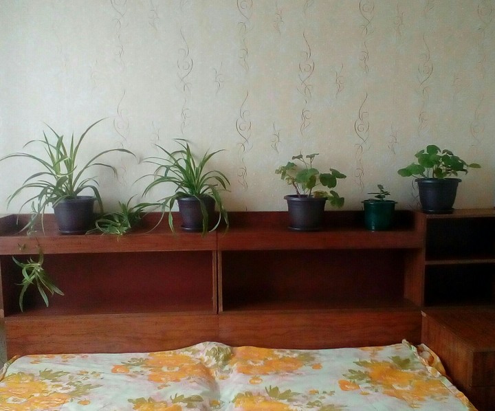 растения...
