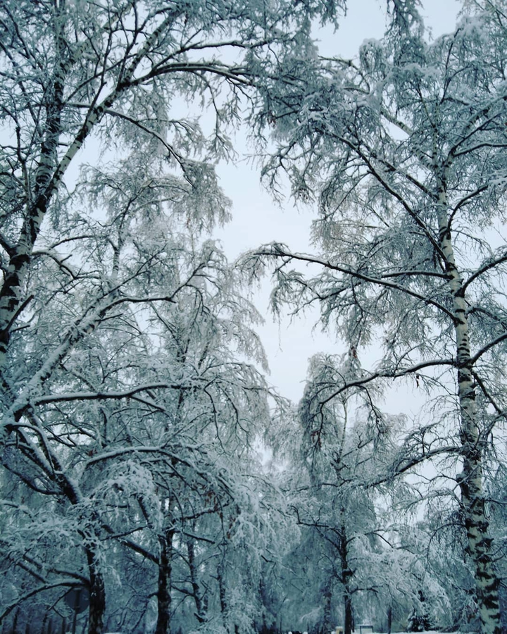 winter fairytale