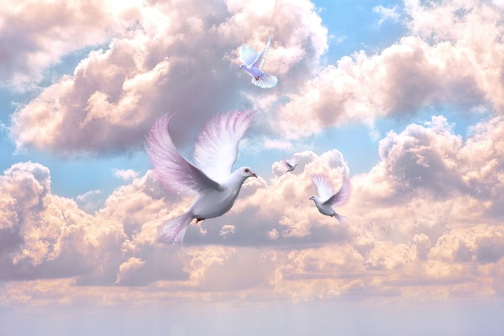Sky