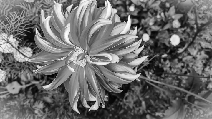 My click....