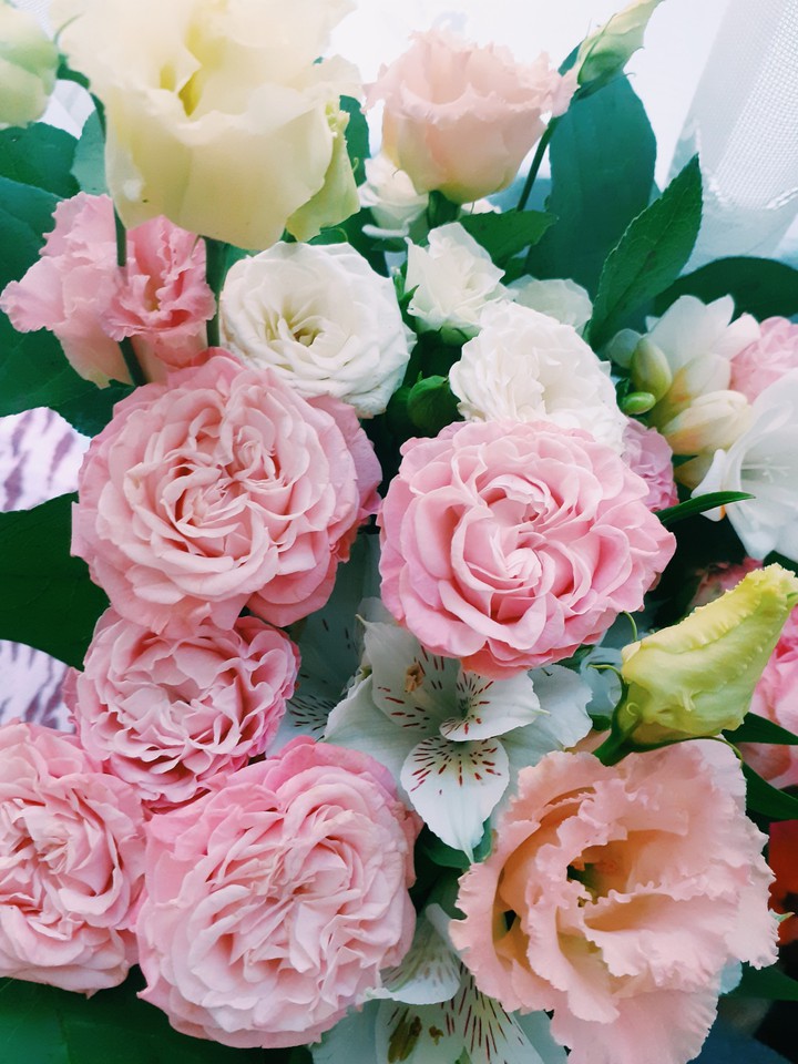 Flowers ( Цветы )