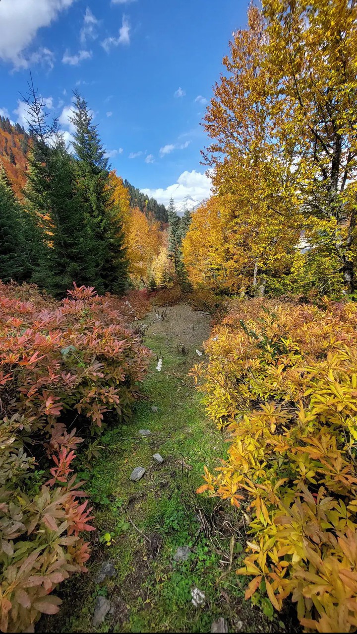 autumn