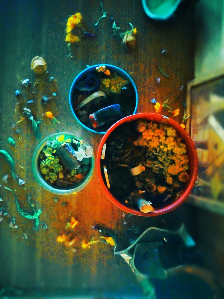 ANOTHER style rainbow little gardens