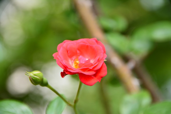 중랑천이미지