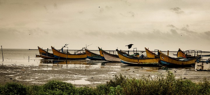harbour