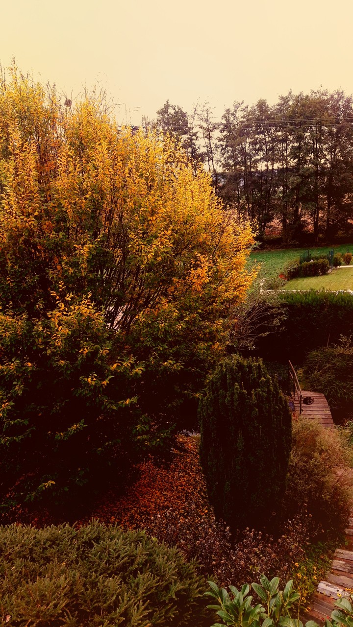 Autumn