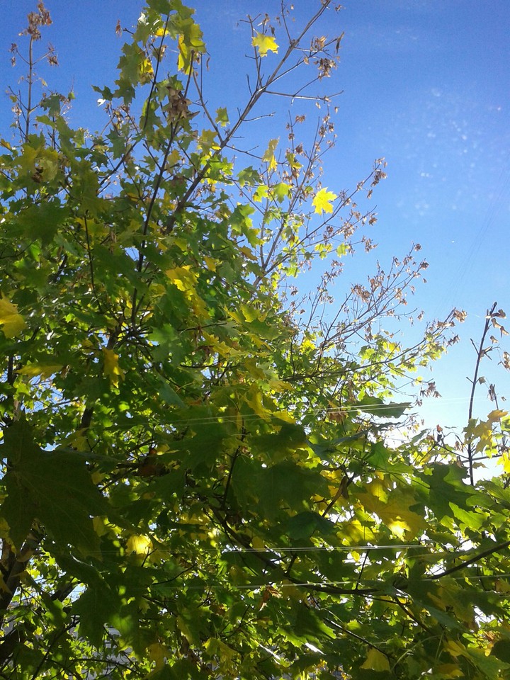 Autumn