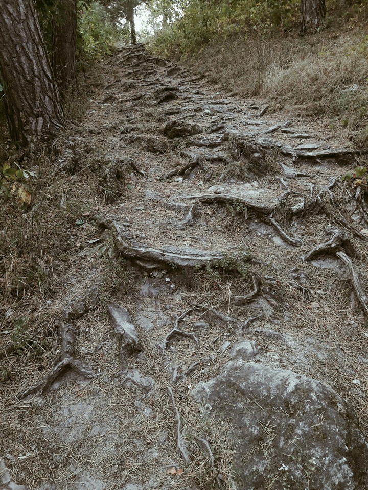 вгору?