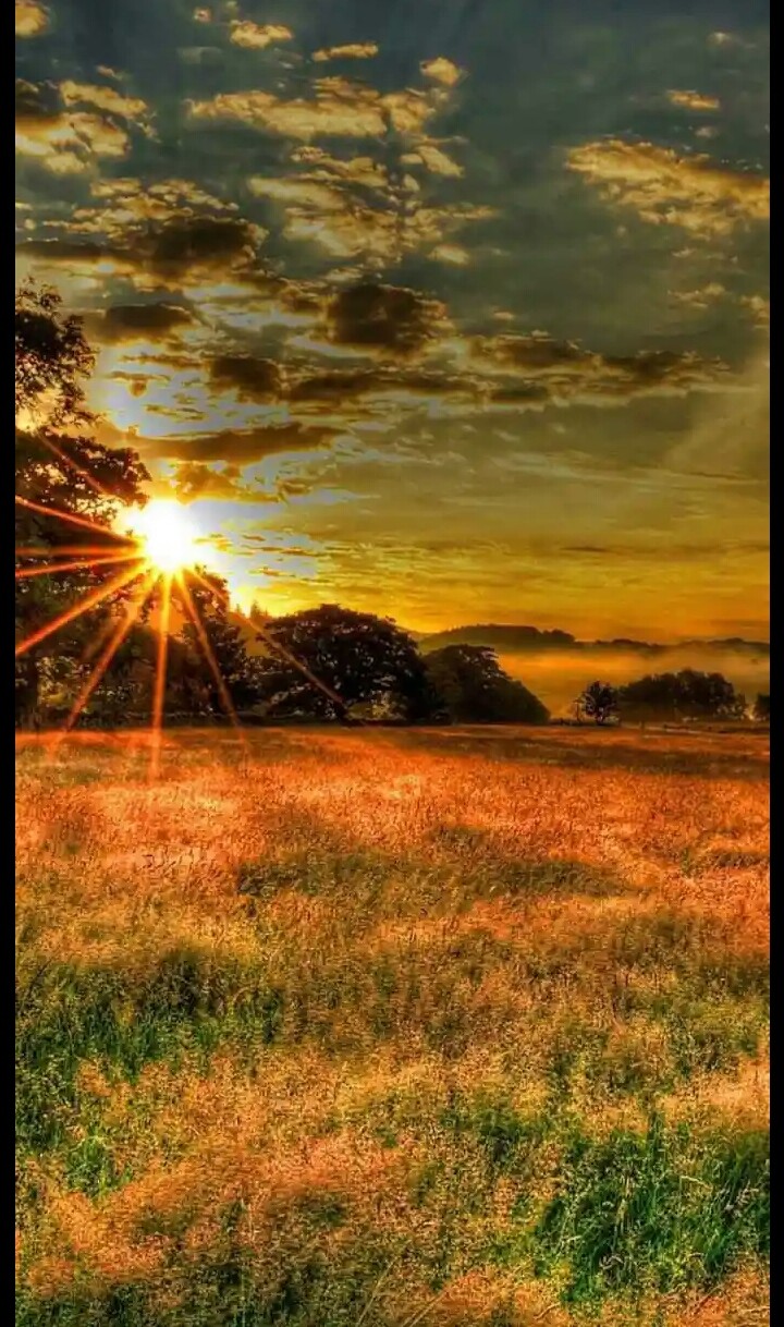 Natureza