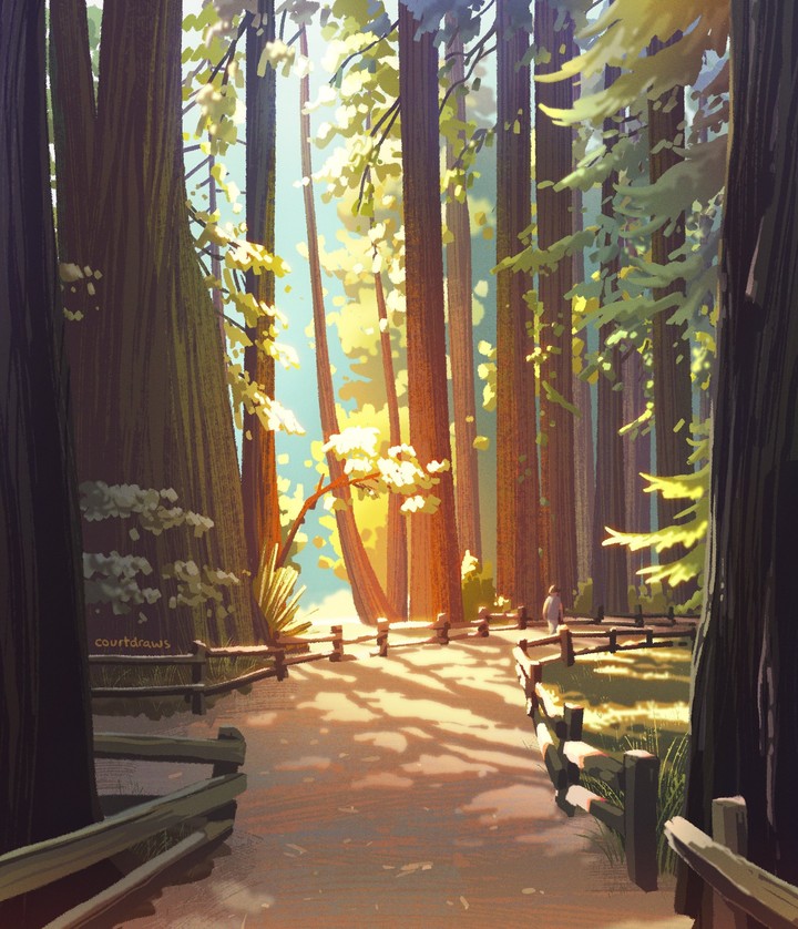 Forest Walk