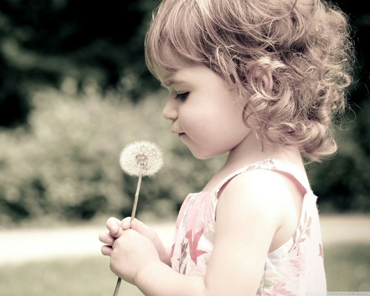 make a wish