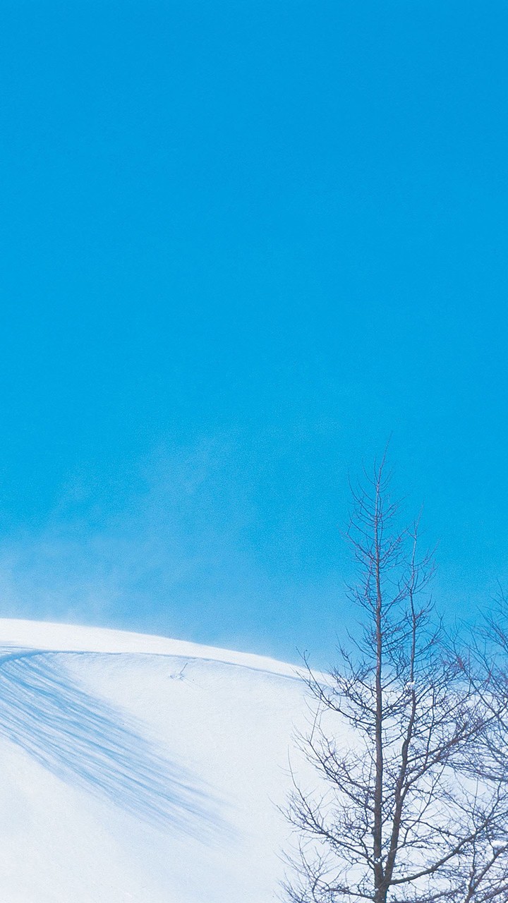 winter