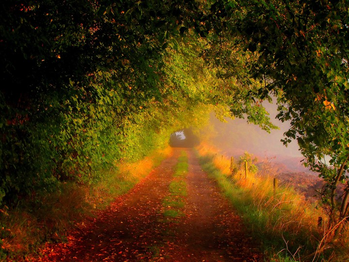 autumn path