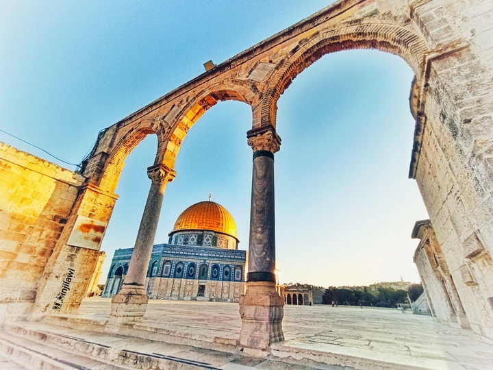 free palestine