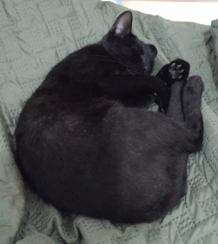sleepy