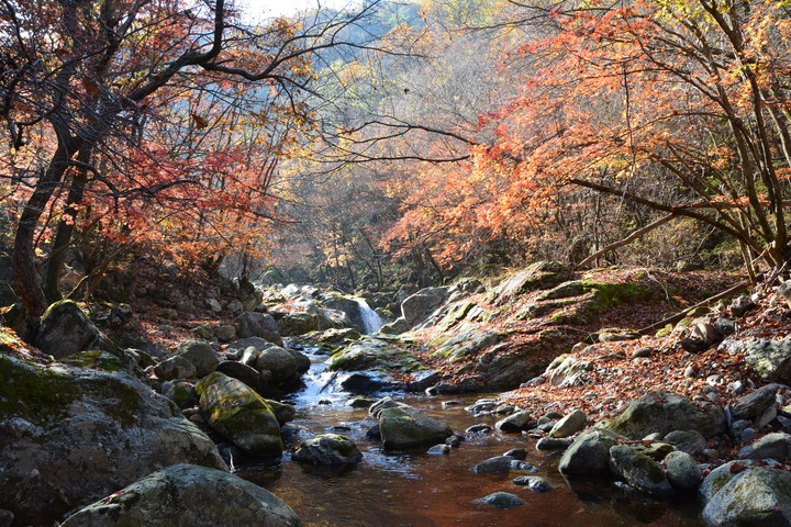 산이미지