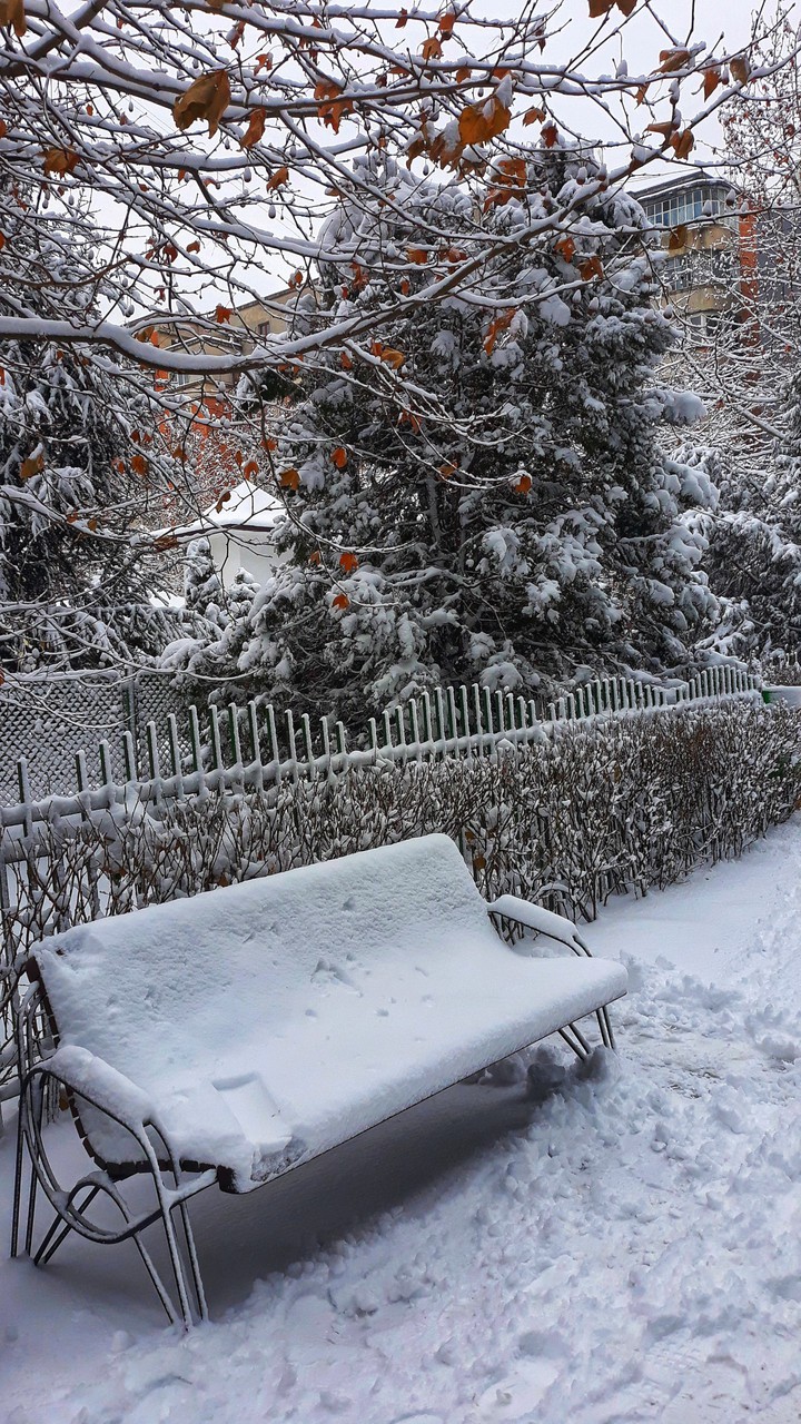 Winter