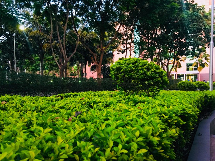 green