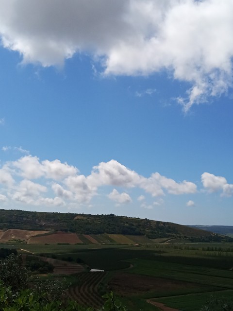 paisagem