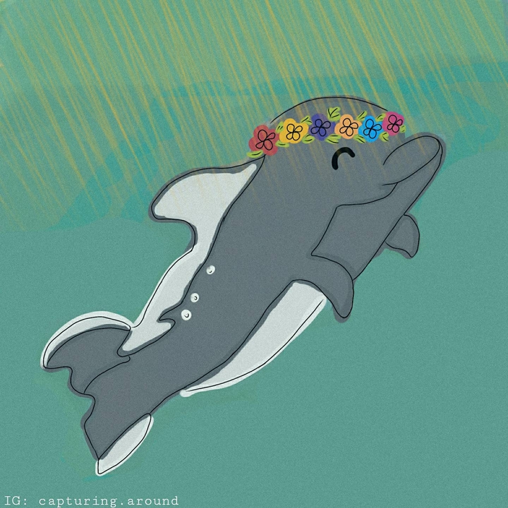 Dolphin