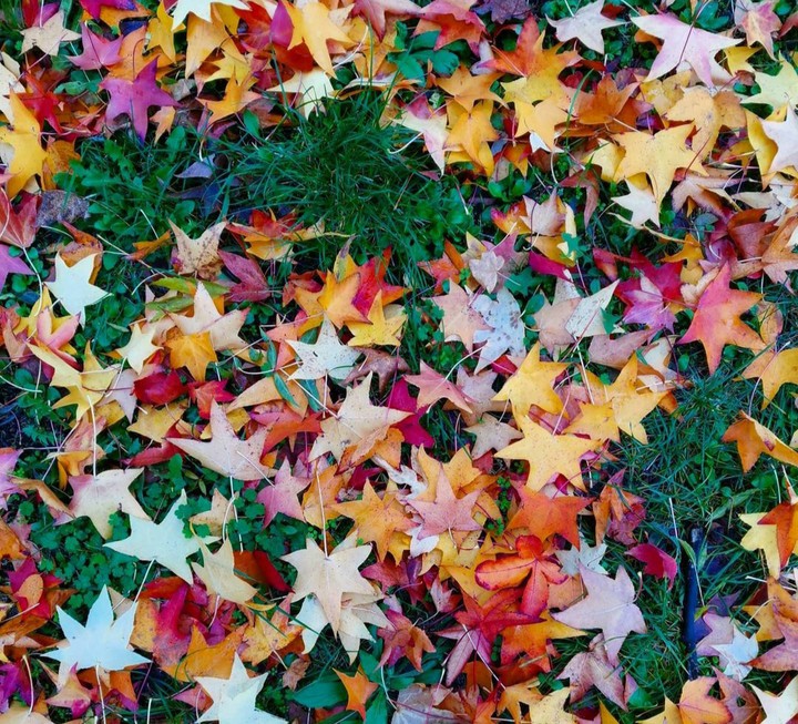 autunno