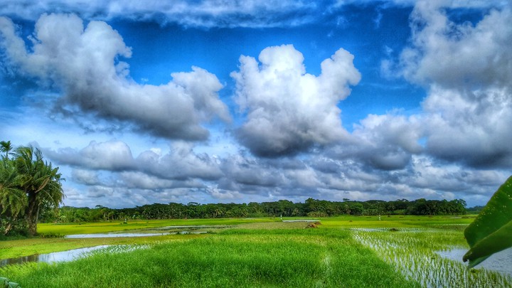 clouds