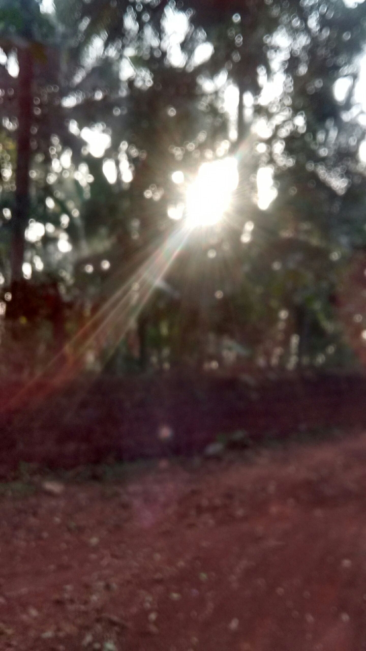 light to find the way of life