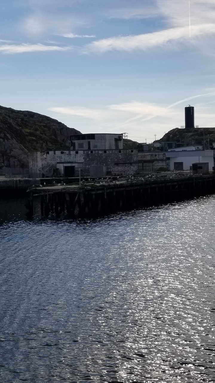 On the Ferry