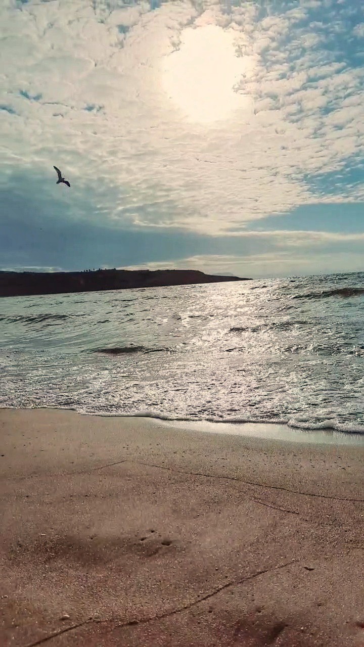 sea ?❤️